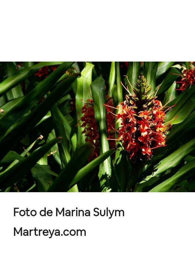 Ferienwohnung Jardin De Naipi Puerto Iguazú Exterior foto