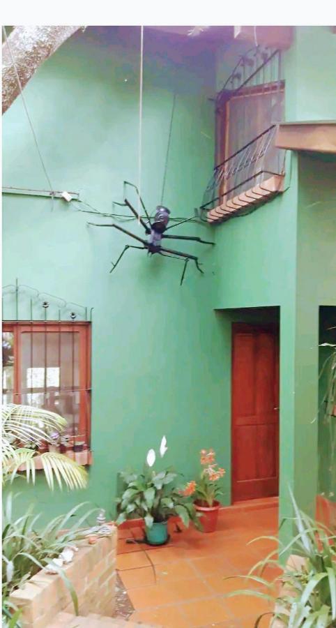 Ferienwohnung Jardin De Naipi Puerto Iguazú Zimmer foto